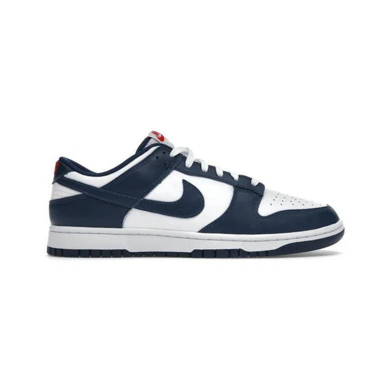 Nike Dunk Low Valerian Blue